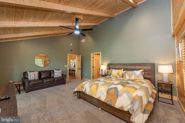 110 WISP ADVENTURE RD, Mc Henry, MD 21541