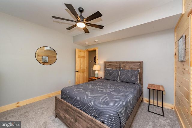 110 WISP ADVENTURE RD, Mc Henry, MD 21541