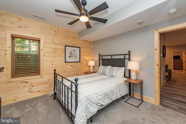 110 WISP ADVENTURE RD, Mc Henry, MD 21541