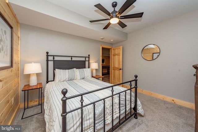 110 WISP ADVENTURE RD, Mc Henry, MD 21541