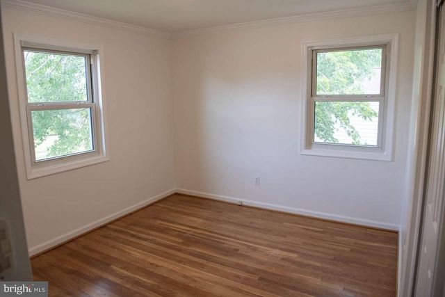 6013 HIBBLING AVE, Springfield, VA 22150