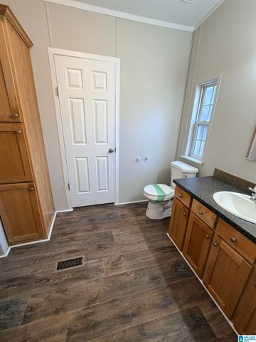 115 MINNIE LEMON DRIVE, Childersburg, AL 35044