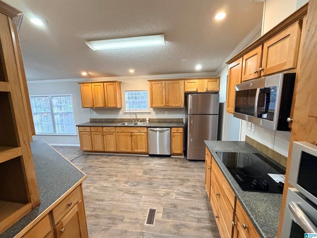 115 MINNIE LEMON DRIVE, Childersburg, AL 35044