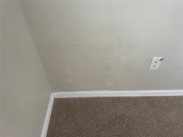 10237 SHADOW BRANCH DRIVE, Tampa, FL 33647