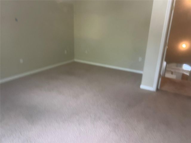 10237 SHADOW BRANCH DRIVE, Tampa, FL 33647