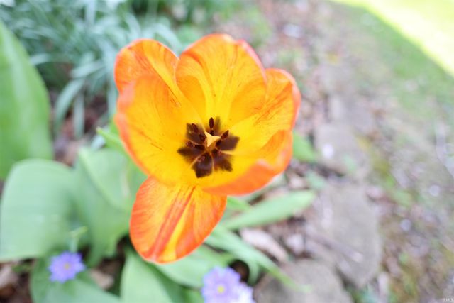 2525 W Lawson Road, Marion, IN 46952