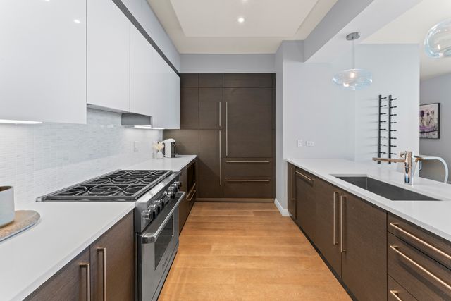 1201 S Prairie Avenue 4702, Chicago, IL 60605