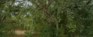 28860 MARINE BOULEVARD, Dunnellon, FL 34431