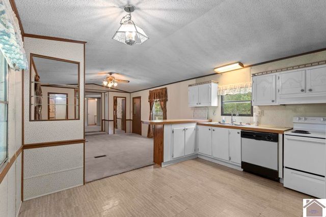 62 Twin Trees Rd, Cadiz, KY 42211