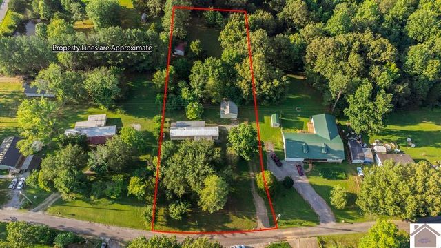 62 Twin Trees Rd, Cadiz, KY 42211