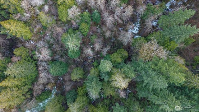 221 E Linda Vista Court, Union, WA 98592