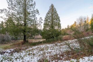 221 E Linda Vista Court, Union, WA 98592