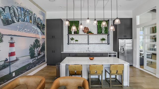 2507 KOJI STREET Aspire, Mount Dora, FL 32757