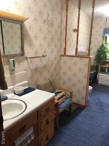 21925 Teak Lane, St Robert, MO 65584