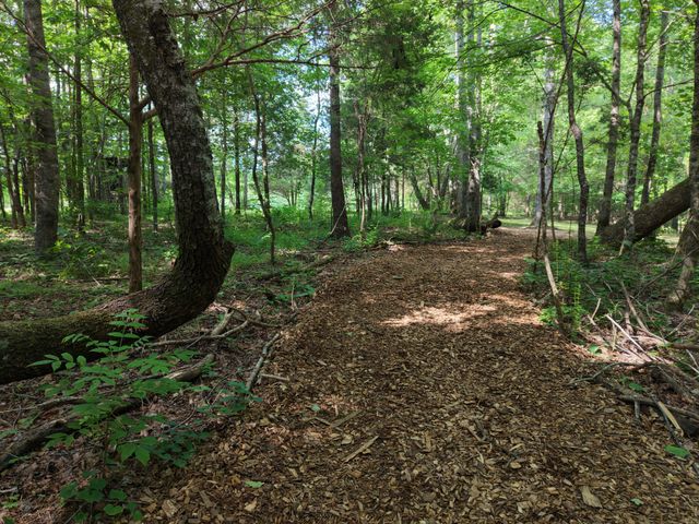 88 Kidd Rd, Lawrenceburg, TN 38464