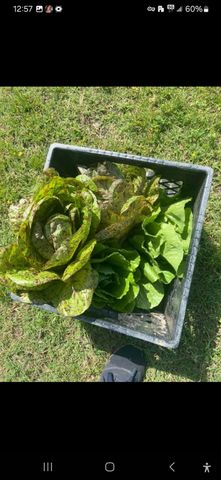 7928 FM 127, Mount Pleasant, TX 75455