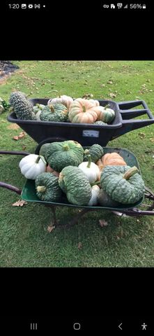 7928 FM 127, Mount Pleasant, TX 75455