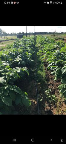 7928 FM 127, Mount Pleasant, TX 75455