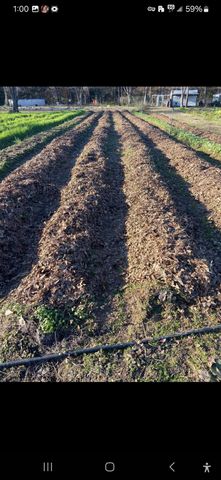 7928 FM 127, Mount Pleasant, TX 75455