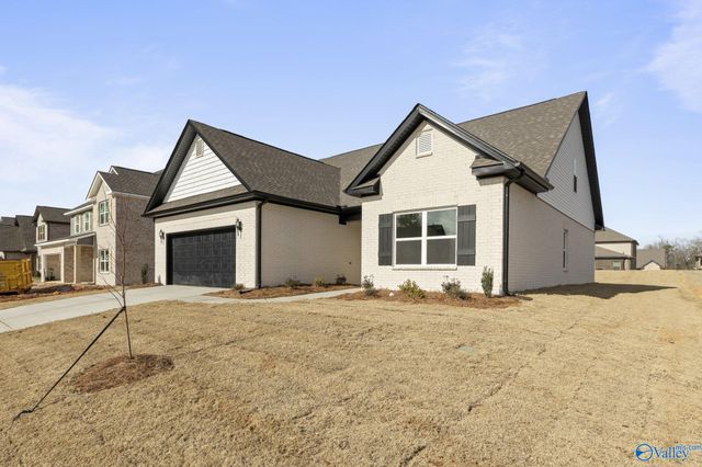 173 Saddle Street, New Market, AL 35761