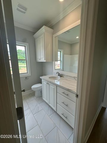 407 Alta Vista, Madison, MS 39110