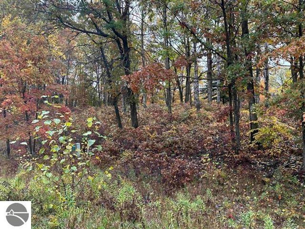 Image 3 of property listing at Lot #6 N Circle E, Farwell, MI 48622