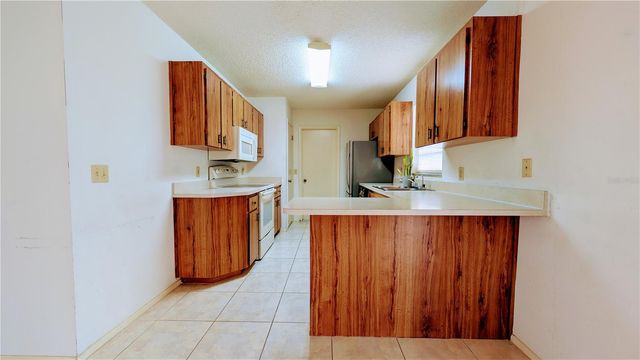 11438 PALOMAR STREET, Spring Hill, FL 34609