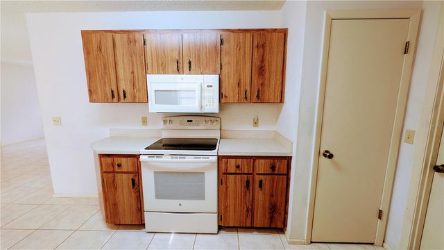 11438 PALOMAR STREET, Spring Hill, FL 34609