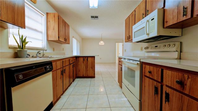 11438 PALOMAR STREET, Spring Hill, FL 34609