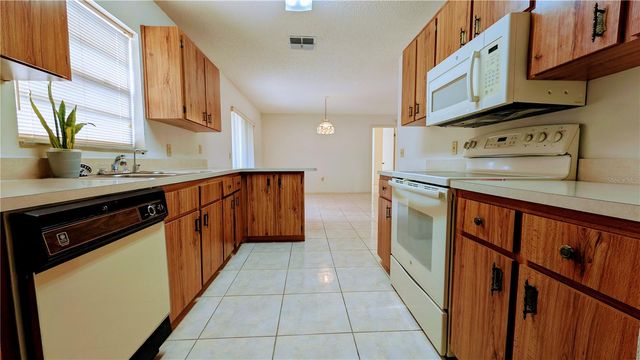 11438 PALOMAR STREET, Spring Hill, FL 34609