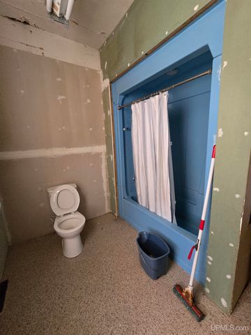 117 S Iroquois Street, Laurium, MI 49913