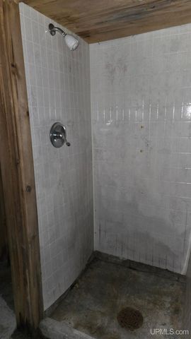 117 S Iroquois Street, Laurium, MI 49913