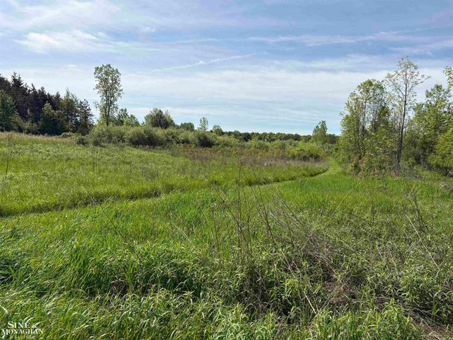 6281 Lindsey Road, China Twp, MI 48054