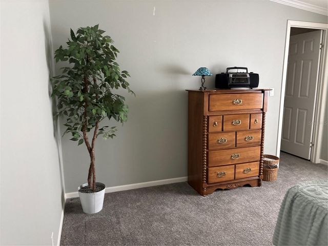 11801 BRUIN DRIVE, New Port Richey, FL 34654