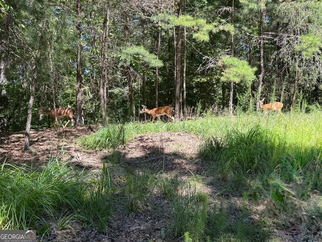 55 Elmwood Circle, Ellijay, GA 30540