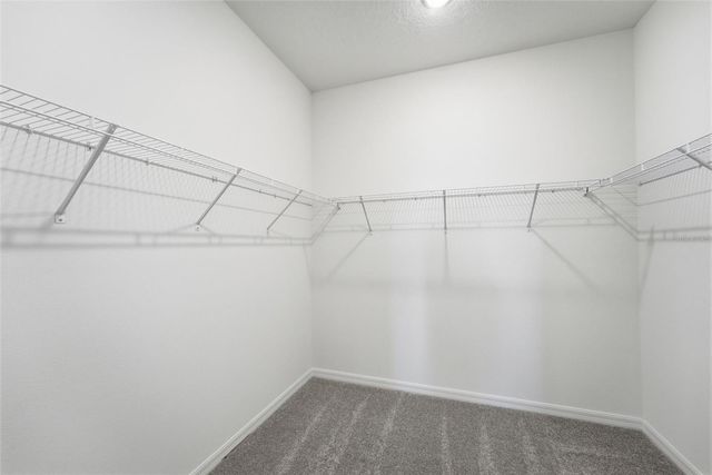 24542 HODGES RESERVE AVENUE, Howey In The Hills, FL 34737