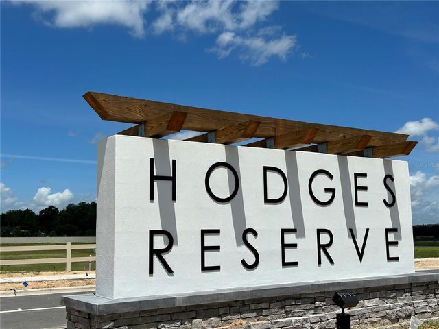 24542 HODGES RESERVE AVENUE, Howey In The Hills, FL 34737