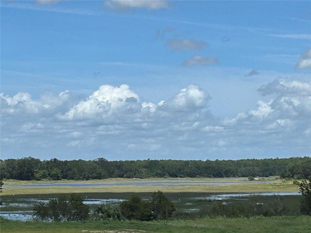 24542 HODGES RESERVE AVENUE, Howey In The Hills, FL 34737