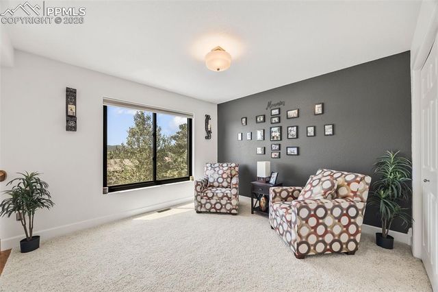 133 Matthew Road, Divide, CO 80814
