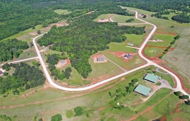 16604 Caeli Heights Court, Winona, TX 75792