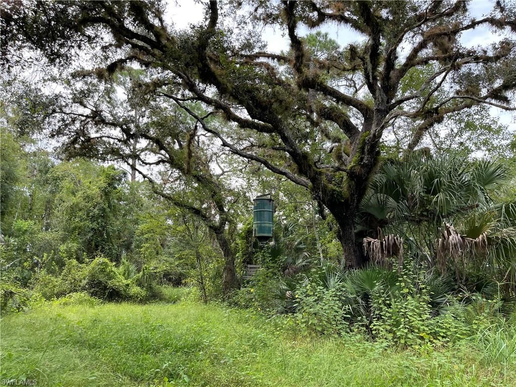 Secretariat DR, LABELLE, FL 33935 — photo 2