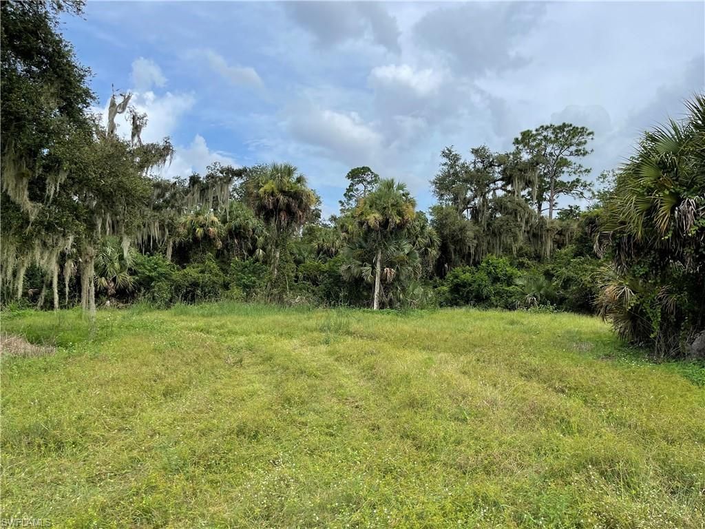 Secretariat DR, LABELLE, FL 33935 — photo 3