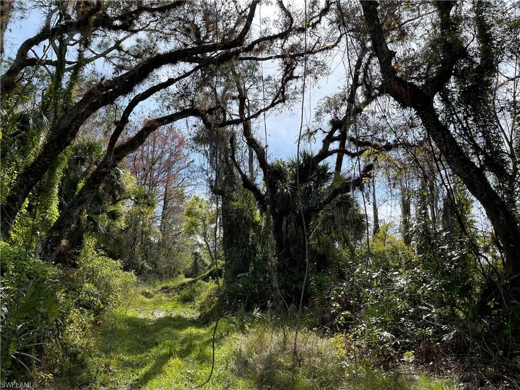 Secretariat DR, LABELLE, FL 33935 — photo 4