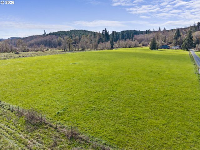 360 SMOKEY VALLEY Rd, Toledo, WA 98591