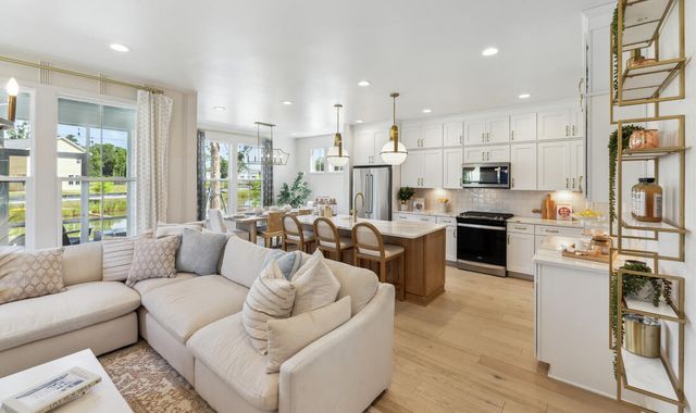 172 Claret Cup Way, Charleston, SC 29414