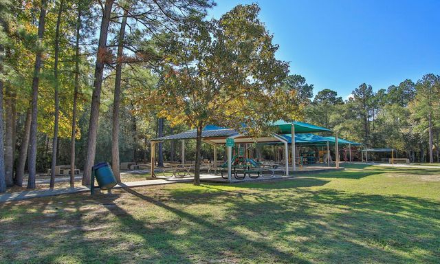 25207 Firewood Lane, Spring, TX 77373