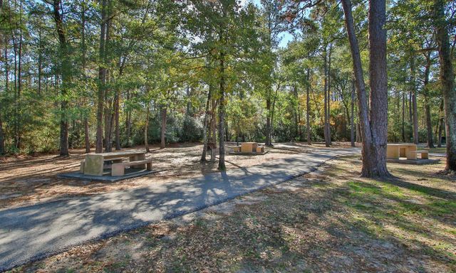25207 Firewood Lane, Spring, TX 77373