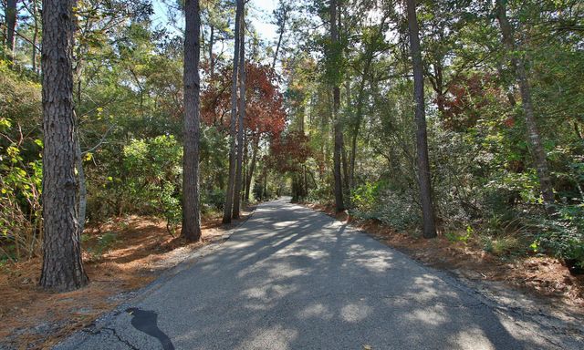 25207 Firewood Lane, Spring, TX 77373