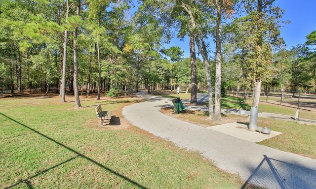 25207 Firewood Lane, Spring, TX 77373