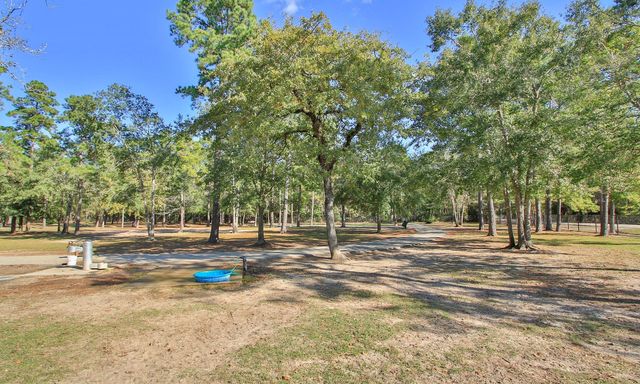 25207 Firewood Lane, Spring, TX 77373